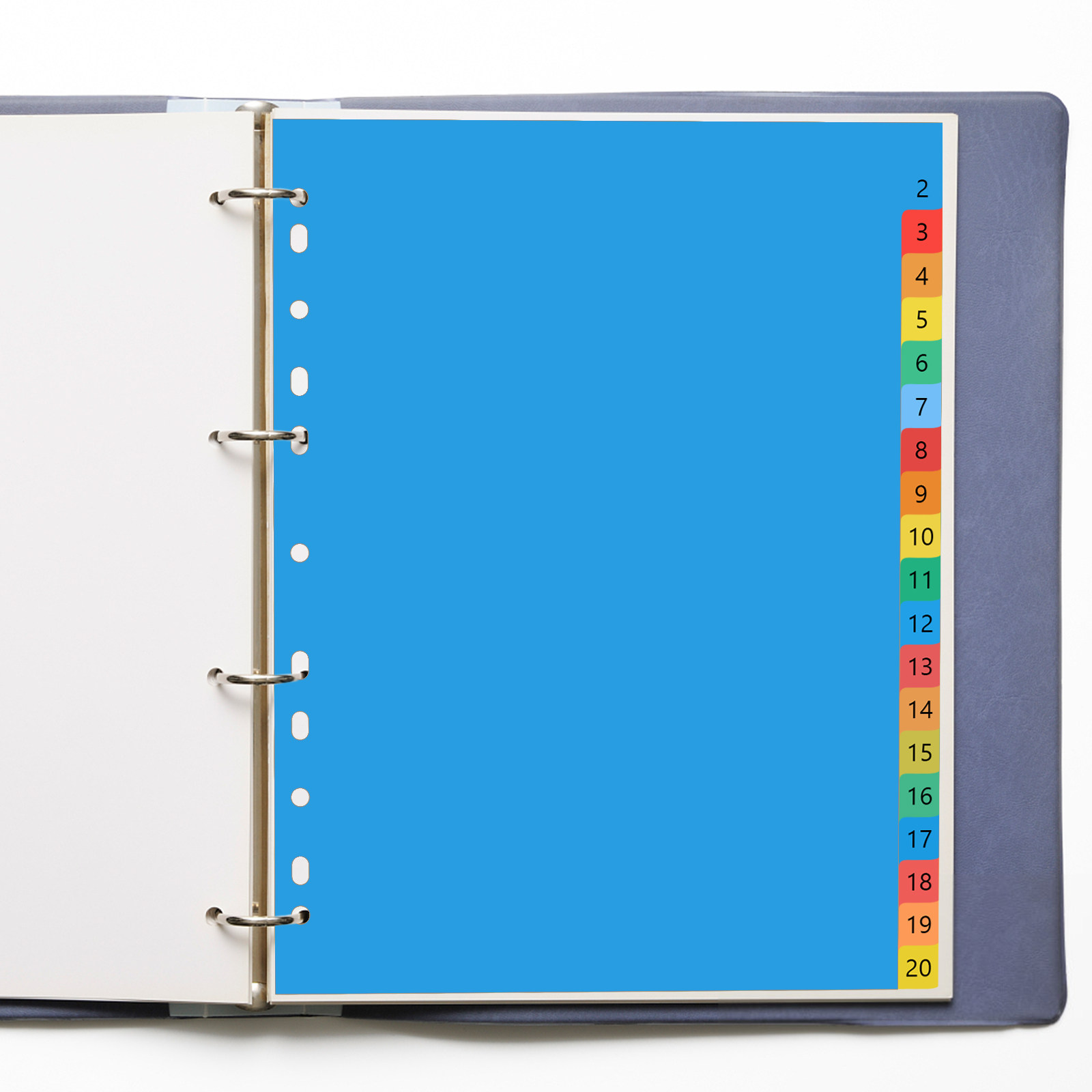 Tab Divider A4 - 20 pagina's A4 kleurrijke plastic tabbladen